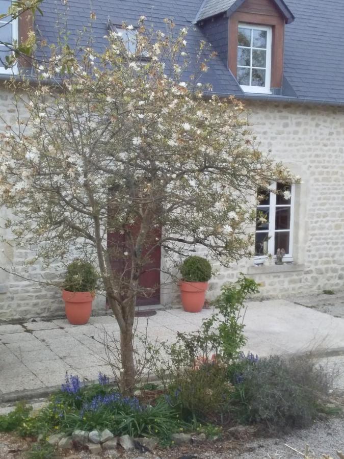 Chambre De Rose - Le Refuge Des Parachutistes - En Bordure Du Marais Neuville-au-Plain Exteriör bild