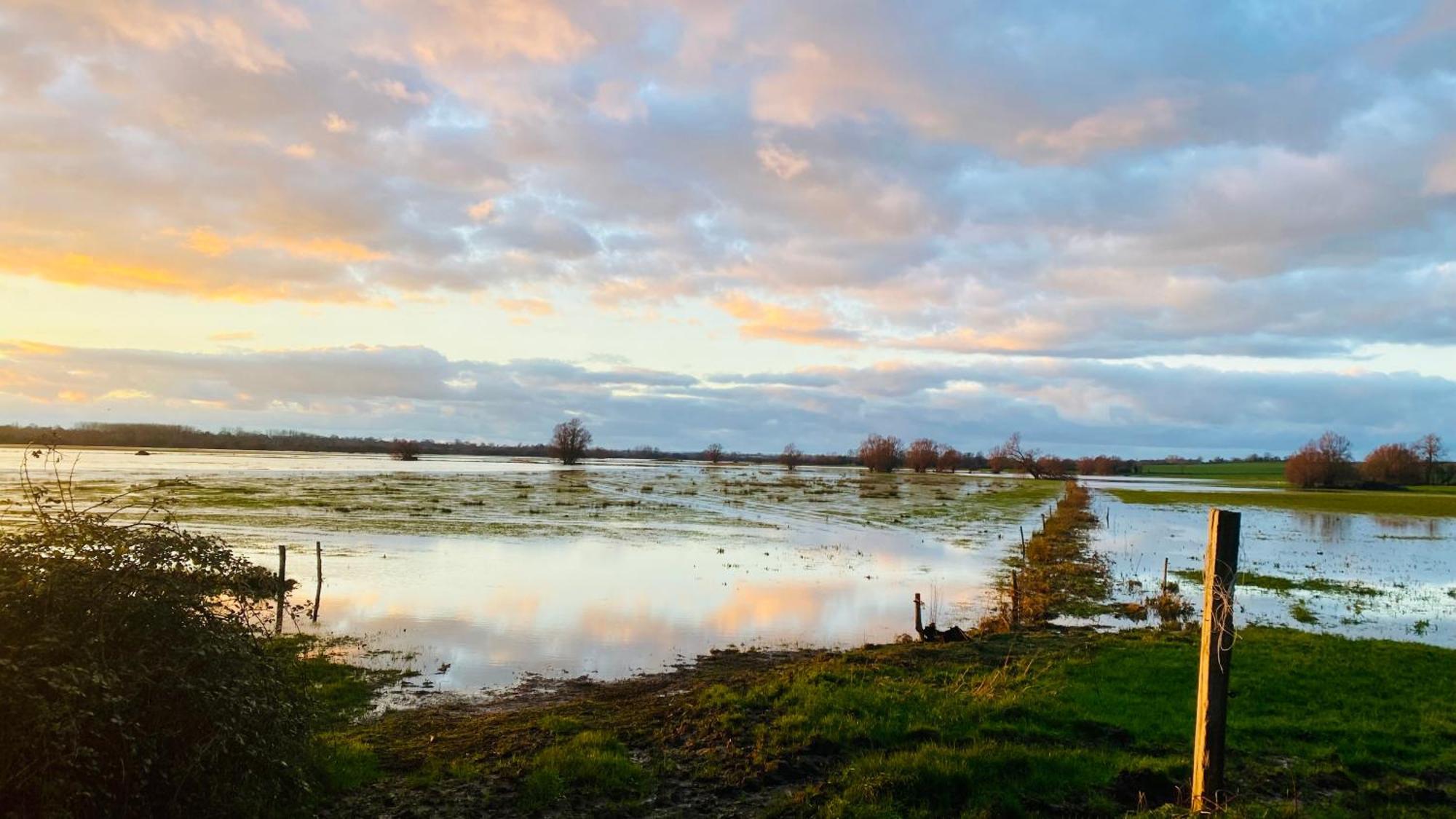 Chambre De Rose - Le Refuge Des Parachutistes - En Bordure Du Marais Neuville-au-Plain Exteriör bild
